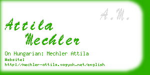 attila mechler business card